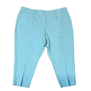 Reitmans Eggshell Blue Spring Summer Ankle Pants Plus Size 22 Petite BNWT